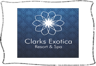 Pine Spring
Exhibitions