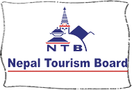 Pine Spring
Exhibitions